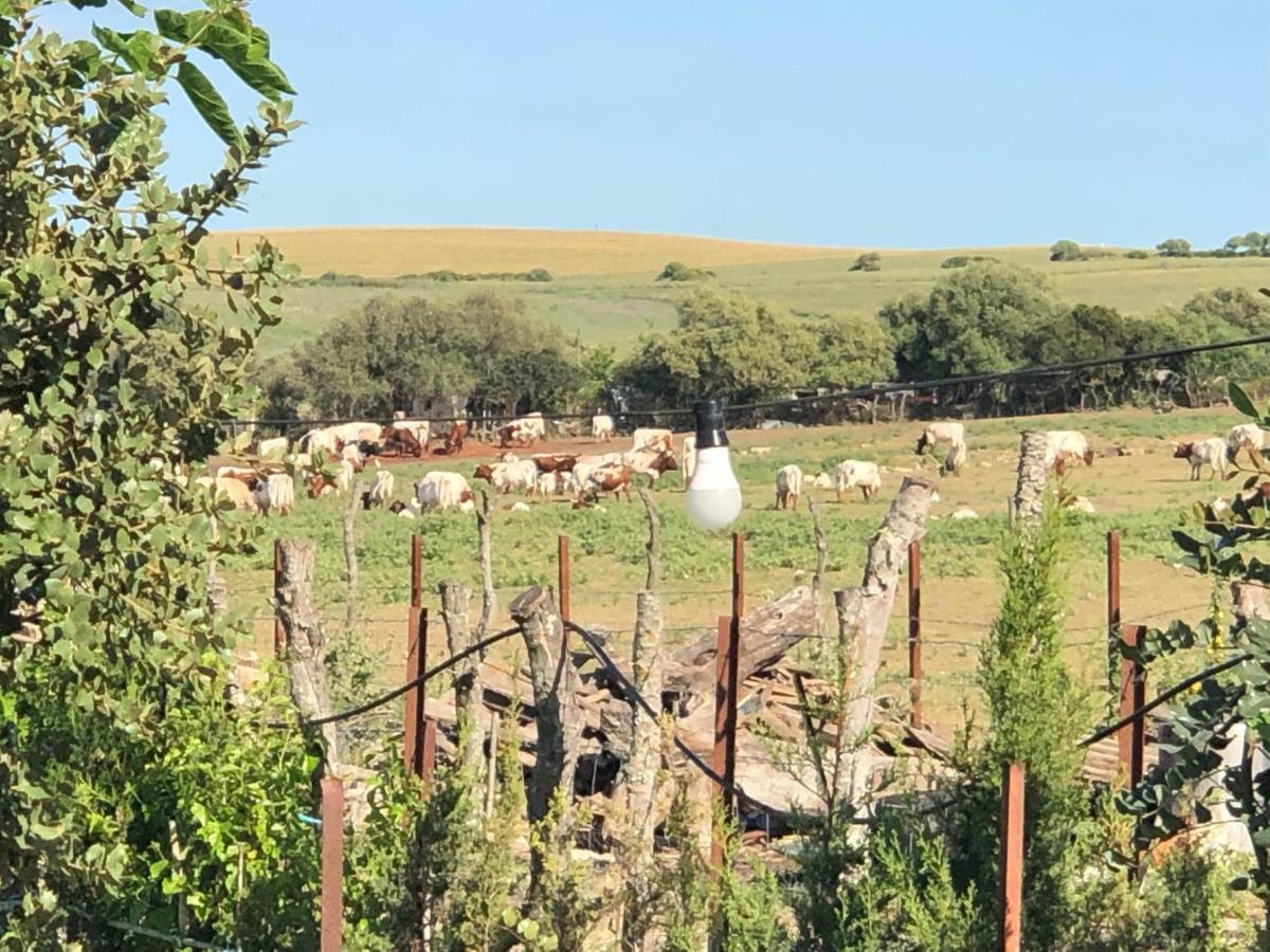 Alojamiento Rural El Soldao Medina-Sidonia Exterior foto